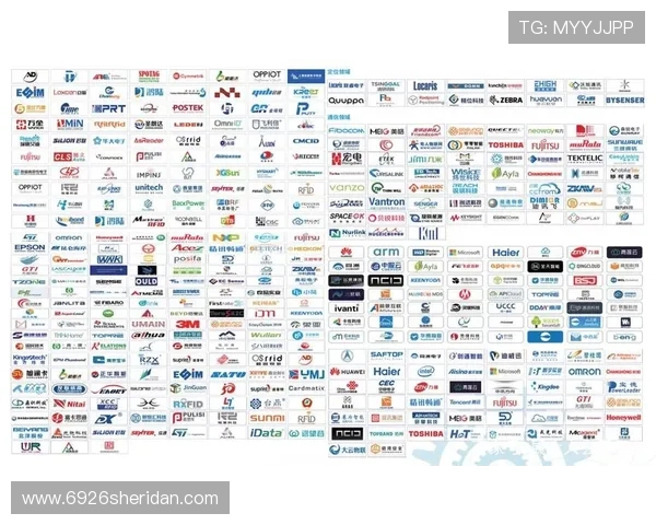 提升AG国际入口游戏体验的实用技巧与操作指南