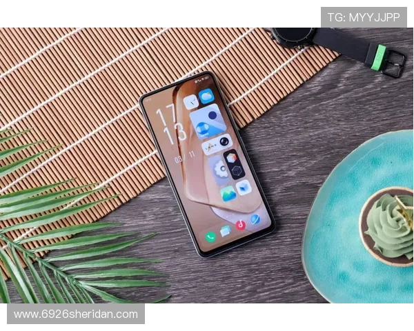 ag8国际亚游官方最新安全保障措施全面解析保障用户资金与信息安全的关键策略